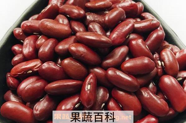 红腰豆的食用禁忌 红腰豆和哪些食物相克