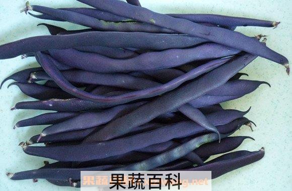 紫芸豆