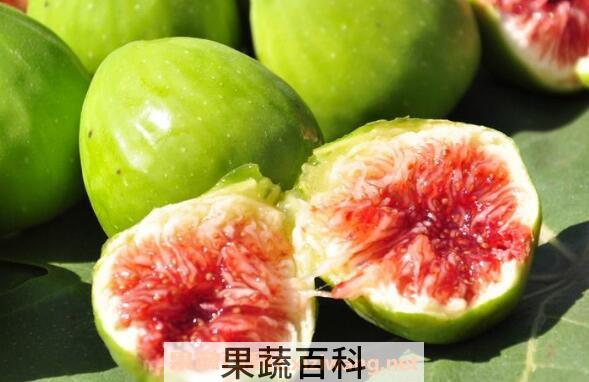 新鲜无花果怎么吃 新鲜无花果的功效与作用