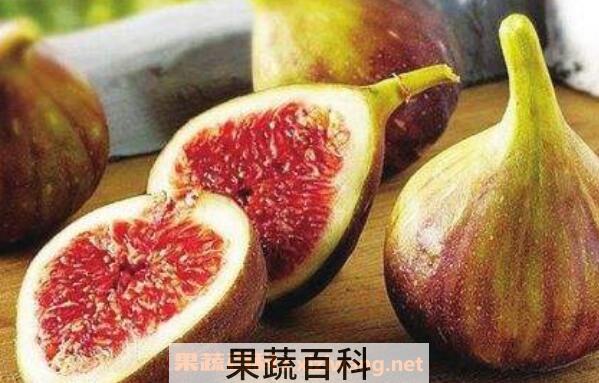 新鲜无花果怎么吃 新鲜无花果的功效与作用