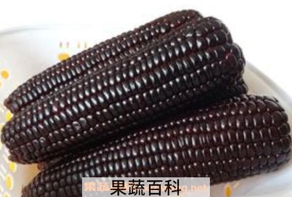黑玉米糁的功效与作用