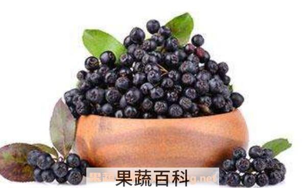 野樱莓泡水喝功效与作用