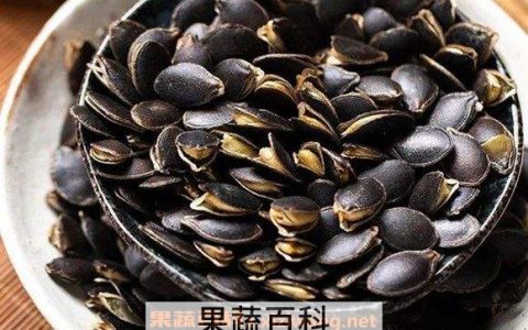 黑南瓜子有什么功效 黑南瓜子的功效与作用及禁忌症