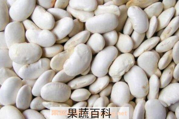 白芸豆减肥有用吗 如何吃白芸豆减肥