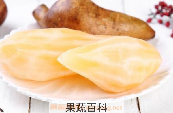 雪莲果的吃法大全 雪莲果的正确吃法
