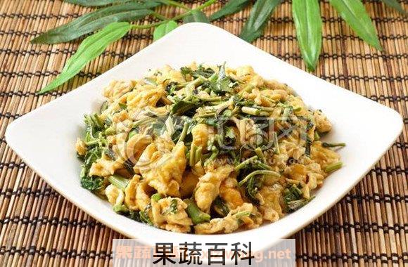 椿芽