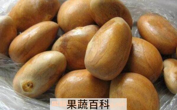 菠萝蜜核的功效与作用及食用方法