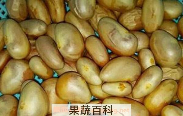 菠萝蜜核的功效与作用及食用方法