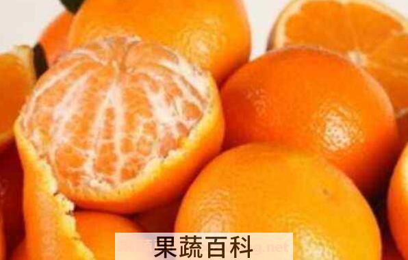 吃橘子上火吗 哪些食物能降火