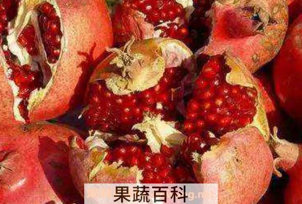 石榴皮榨汁的功效与作用