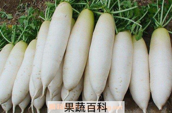 白萝卜汁