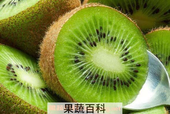 猕猴桃怎么吃 猕猴桃吃多了会怎么样