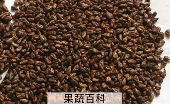 葡萄籽花青素的功效与作用
