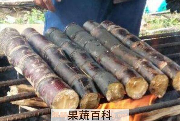 烤甘蔗用什么烤 烤甘蔗功效与作用