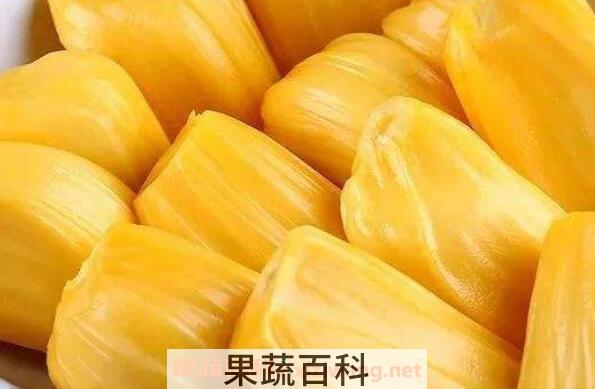 菠萝蜜怎么吃详细图解 菠萝蜜的常见吃法