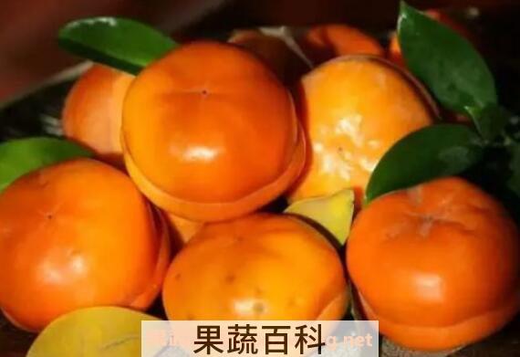 怎样让柿子不涩又脆 生柿子怎么泡又脆又甜