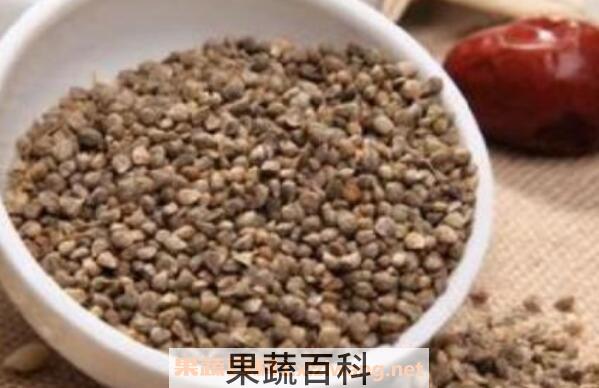 菠菜籽粉的功效与作用