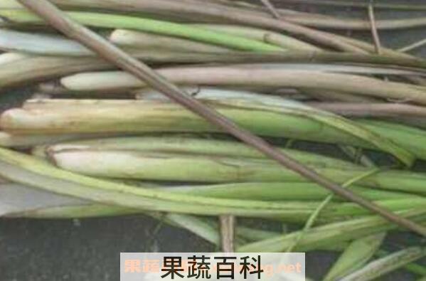 芋梗的功效与作用 芋梗的食用禁忌
