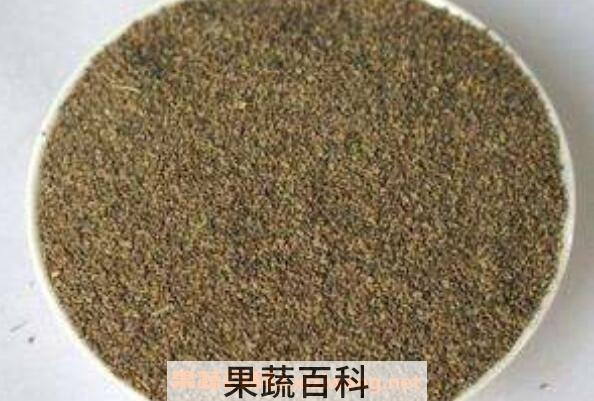 芹菜籽粉的功效与作用及食用方法