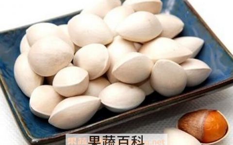 白果到底怎么吃 白果怎么吃简单吃法