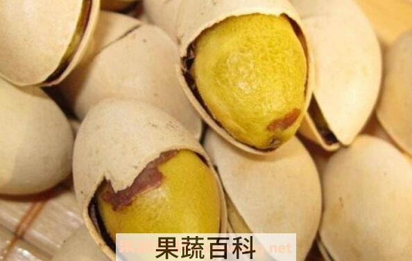 白果怎么吃 白果的吃法技巧