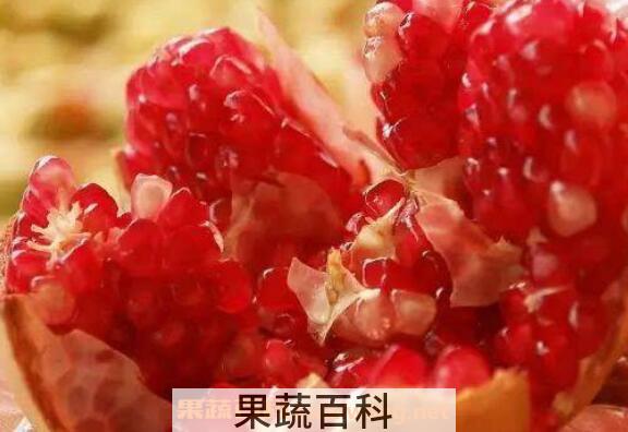 大石榴的功效与作用