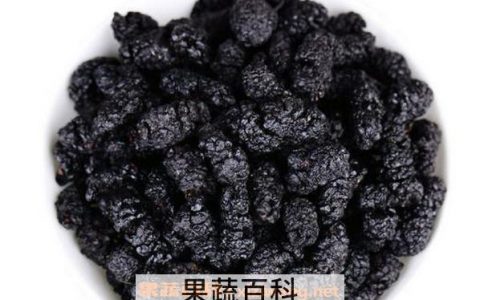 黑桑葚泡水的功效与作用是什么 黑桑葚泡水的功效与作用及禁忌