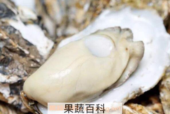 牡蛎怎么吃 牡蛎哪些部位不能吃
