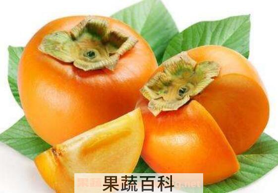柿子不能和什么一起吃 吃柿子不能吃什么