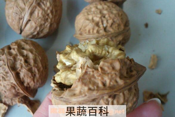 核桃的功效与作用 吃核桃的好处有哪些
