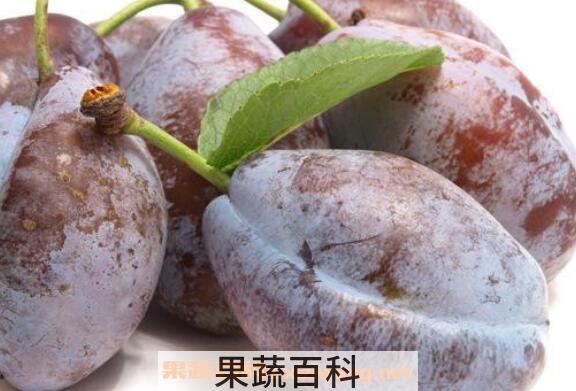  美国西梅的功效与作用