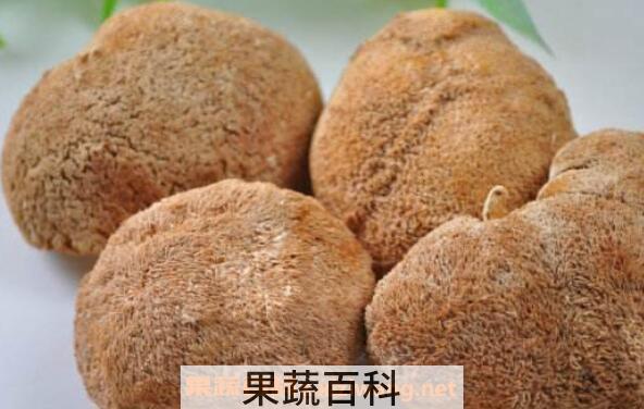 干猴头菇怎么泡发最好 干猴头菇一般泡多久