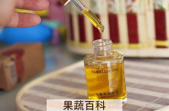 山茶花油