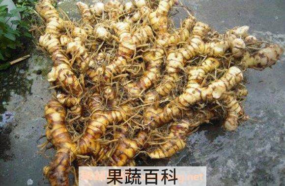南姜