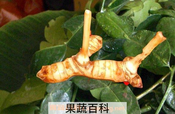 南姜