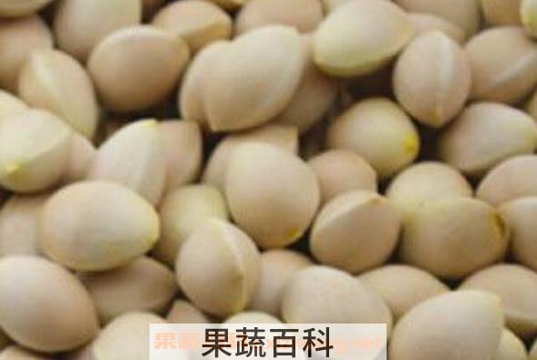 新鲜白果怎么去壳去皮 白果最简单的去壳方法