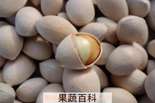 新鲜白果怎么去壳去皮 白果最简单的去壳方法