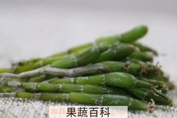 霍山石斛的功效与用法