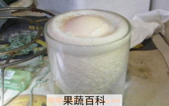 鸡卵泡酒是生泡吗 鸡卵的泡酒方法