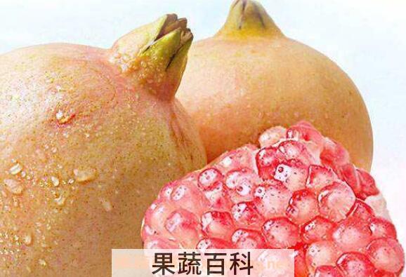 酸石榴籽的功效与作用