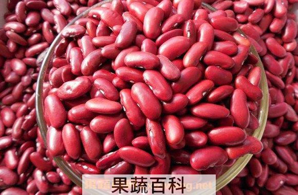 红芸豆