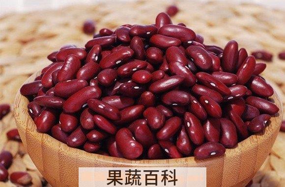 红芸豆