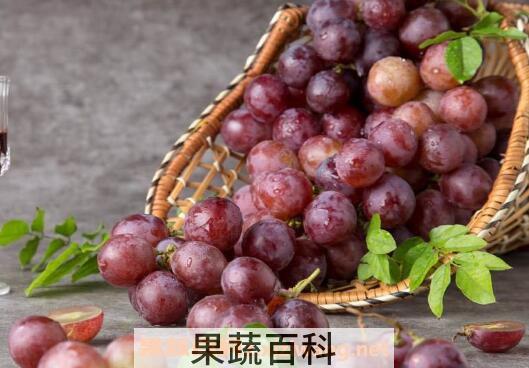 无籽葡萄的功效与作用