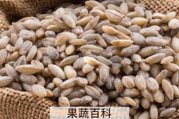 青稞的功效与作用 吃青稞的好处