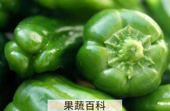 青椒的功效与作用有哪些