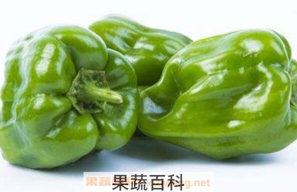 青椒的功效与作用有哪些