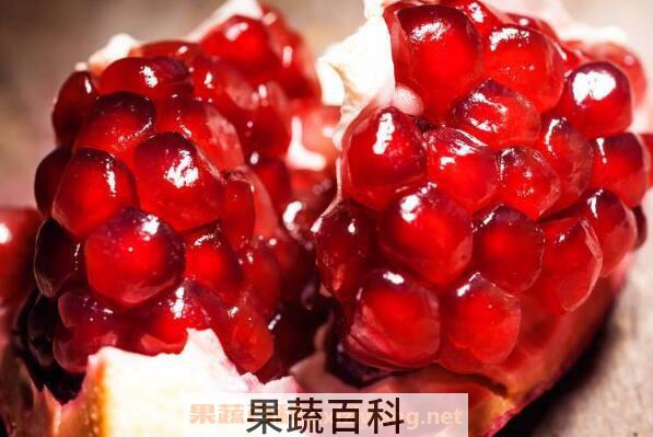 软籽石榴的功效和作用