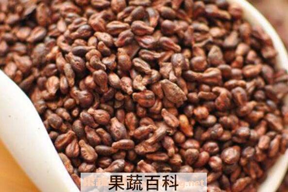 葡萄籽的功效与作用 吃葡萄籽有什么好处