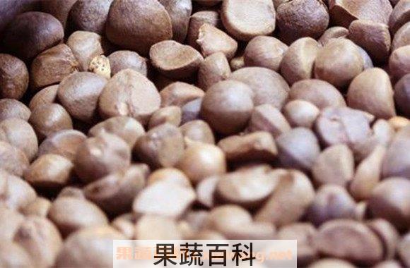 苦茶油