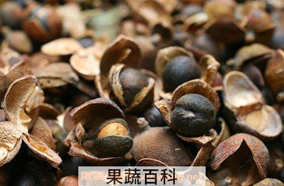 苦茶油的功效和使用方法 苦茶油的功效与作用